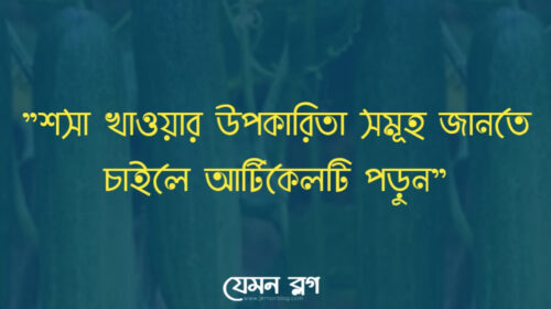 শসা