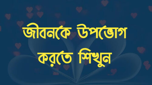 জীবনকে উপভোগ করা