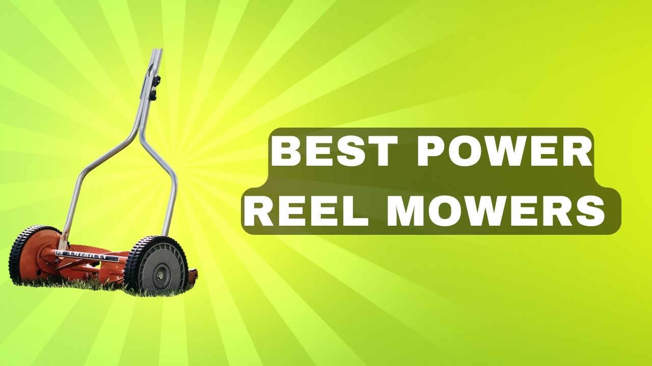 Best Power Reel Mowers