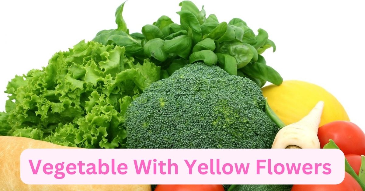 Vegetable With Yellow Flowers