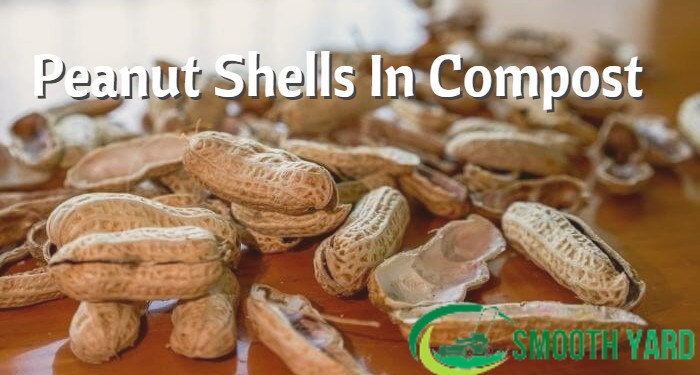 Peanut Shells In Compost