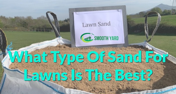 What Type Of Sand For Lawns Is The Best_
