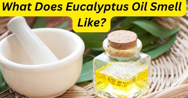 What Does Eucalyptus Oil Smell Like?